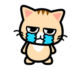 Stare with fixity cat sticker #7663596