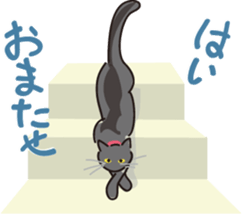 Golden dog and Black cat2(returns) sticker #7664038