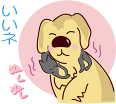 Golden dog and Black cat2(returns) sticker #7664039