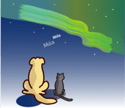 Golden dog and Black cat2(returns) sticker #7664059