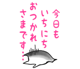 Ghost cat I keep house. sticker #7667105