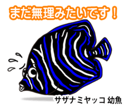 Tropical colorful fish 2 sticker #7669195
