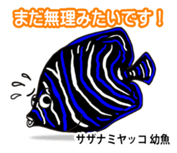 Tropical colorful fish 2 sticker #7669195