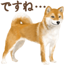 As expected! Shiba Inu sticker #7672153