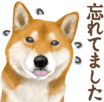 As expected! Shiba Inu sticker #7672165