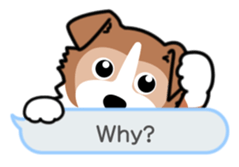 Lucky Talk sticker #7672421