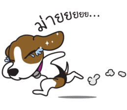 Porjai Beagle Dog Version 2 sticker #7673996