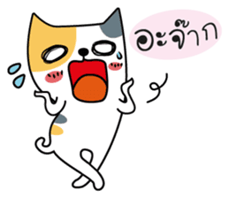 Neko Three color sticker #7674613