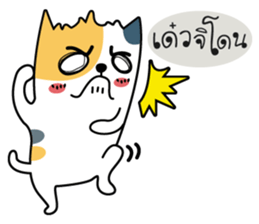 Neko Three color sticker #7674616