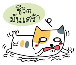 Neko Three color sticker #7674635