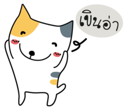 Neko Three color sticker #7674636