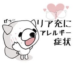 The dog was born in Hokkaido.2 sticker #7675427