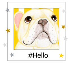 #SELFIE sticker #7681308