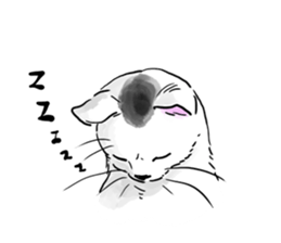 BuchiNeko Stickers sticker #7681843