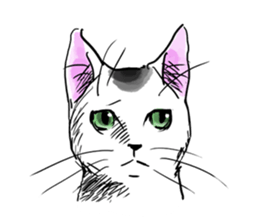 BuchiNeko Stickers sticker #7681845