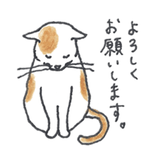 cute cat's life sticker #7685342