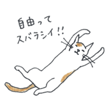 cute cat's life sticker #7685362