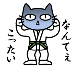 taekwon-do cat naekwon 1 sticker #7687442