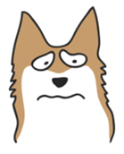 Siberian HuskyEmotions sticker #7688245