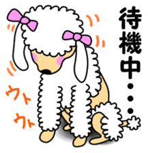 JIN-JIN Poodle Life (2nd) sticker #7688694