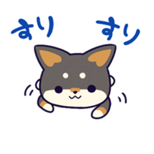 SHIBA-CHUN 2 sticker #7688785