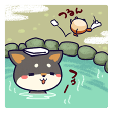 SHIBA-CHUN 2 sticker #7688819