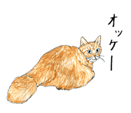 brown tabby cat koto-chan part4 sticker #7689280