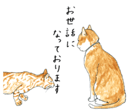 brown tabby cat koto-chan part4 sticker #7689281