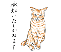 brown tabby cat koto-chan part4 sticker #7689283