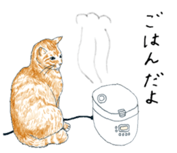 brown tabby cat koto-chan part4 sticker #7689284