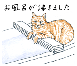 brown tabby cat koto-chan part4 sticker #7689285