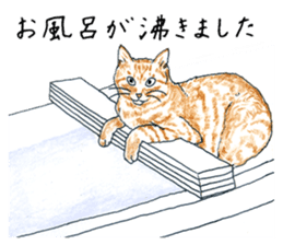 brown tabby cat koto-chan part4 sticker #7689285