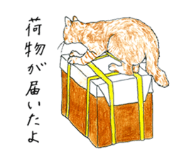 brown tabby cat koto-chan part4 sticker #7689286