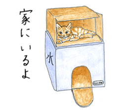 brown tabby cat koto-chan part4 sticker #7689289