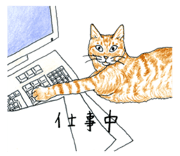 brown tabby cat koto-chan part4 sticker #7689291