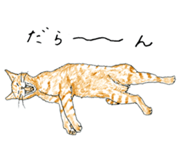 brown tabby cat koto-chan part4 sticker #7689293