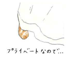 brown tabby cat koto-chan part4 sticker #7689295