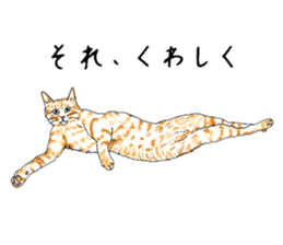 brown tabby cat koto-chan part4 sticker #7689297