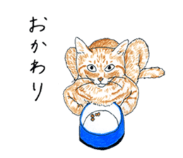 brown tabby cat koto-chan part4 sticker #7689298