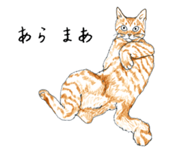 brown tabby cat koto-chan part4 sticker #7689299