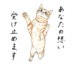 brown tabby cat koto-chan part4 sticker #7689300