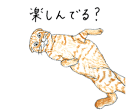 brown tabby cat koto-chan part4 sticker #7689301