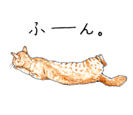 brown tabby cat koto-chan part4 sticker #7689303