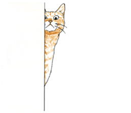 brown tabby cat koto-chan part4 sticker #7689304