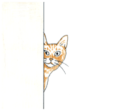 brown tabby cat koto-chan part4 sticker #7689305
