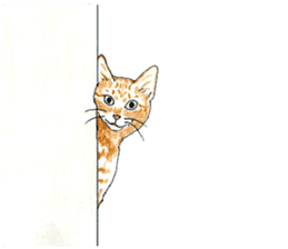 brown tabby cat koto-chan part4 sticker #7689306