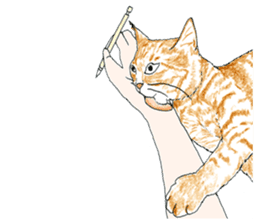 brown tabby cat koto-chan part4 sticker #7689308