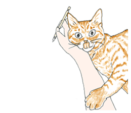 brown tabby cat koto-chan part4 sticker #7689309