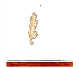brown tabby cat koto-chan part4 sticker #7689311