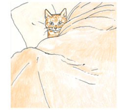 brown tabby cat koto-chan part4 sticker #7689312